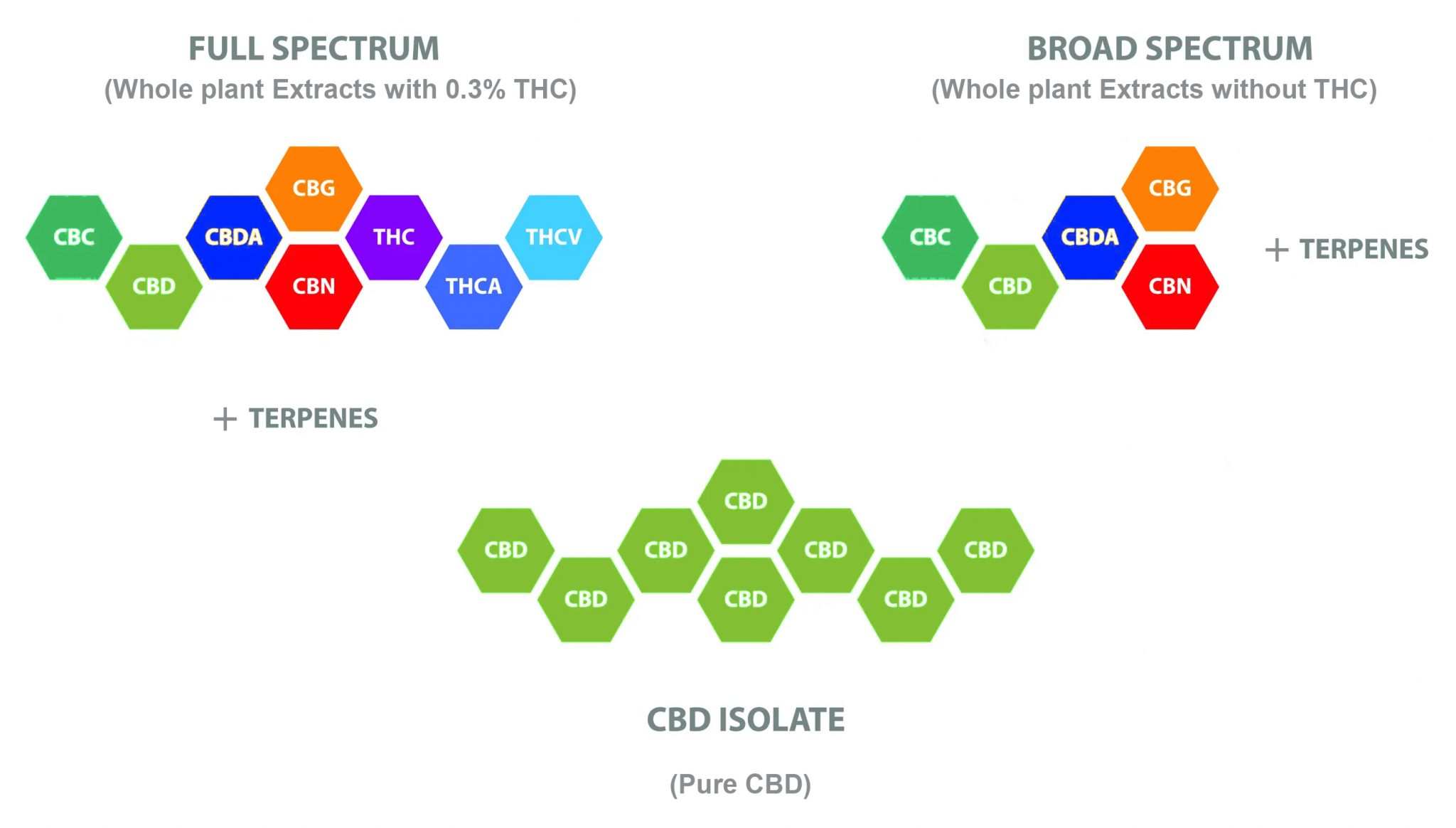 Consejos sobre cómo elegir el producto de CBD adecuado img2