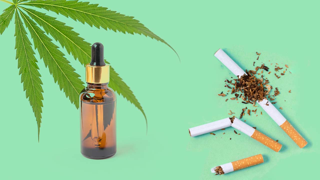 Puede el aceite de CBD ayudarlo a dejar de fumar img1